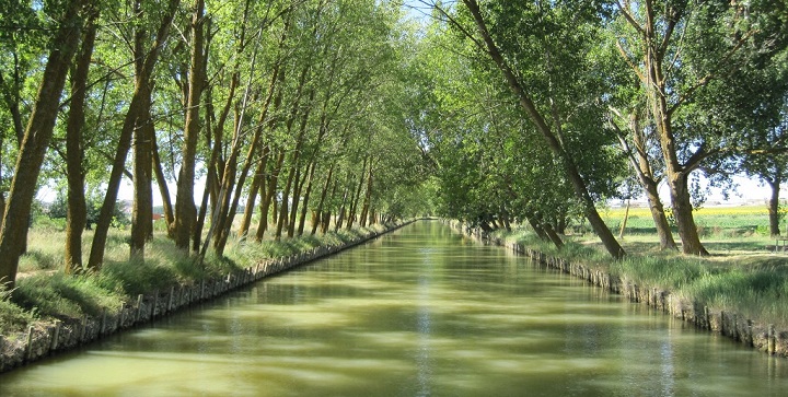 Canal Castilla1