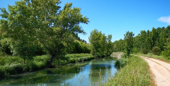 Canal Castilla3