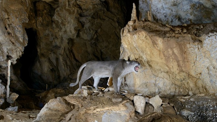 Caves-of-Arrikrutz