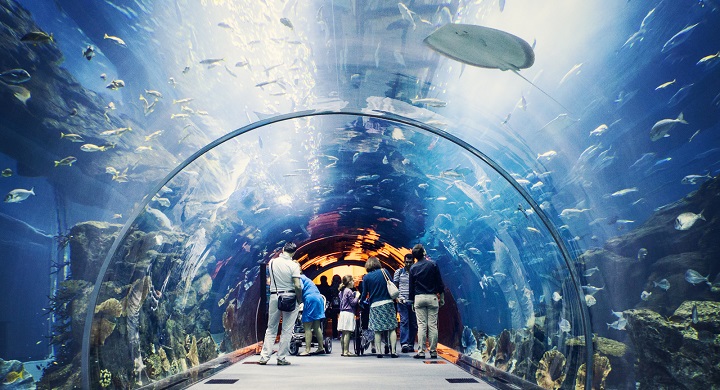 Dubai Aquarium1