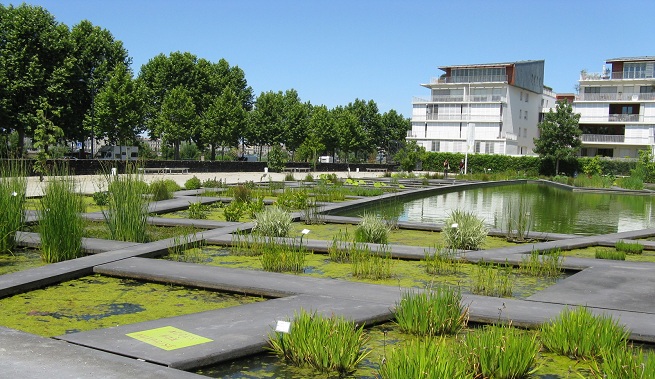 The-Botanical-Garden-of-Bordeaux-1