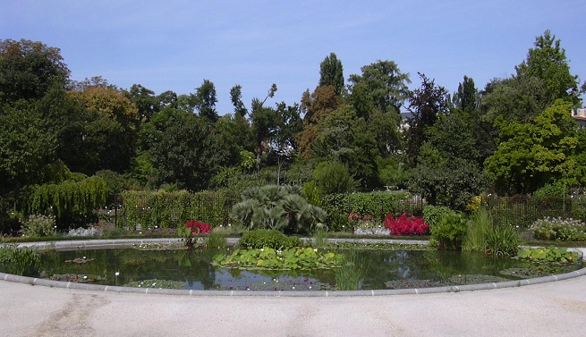 The-Botanical-Garden-of-Bordeaux-2