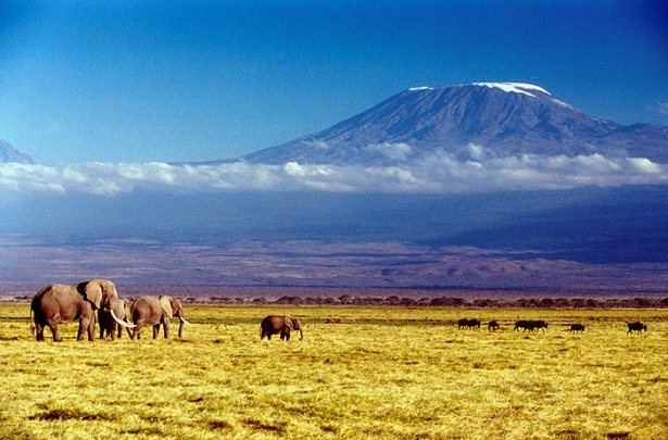 El-Kilimanjaro