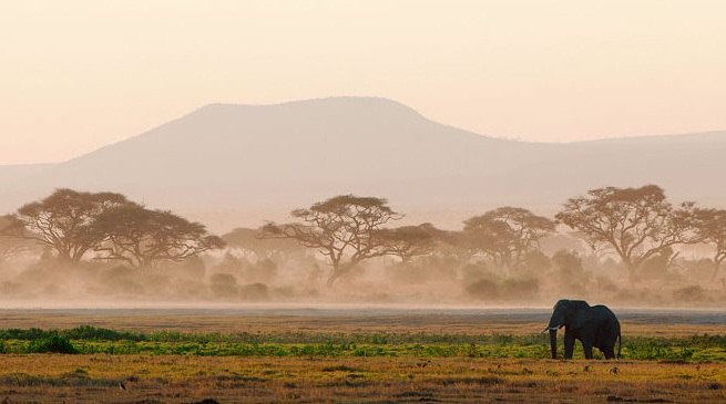 The-Amboseli-National-Park-in-Kenya2