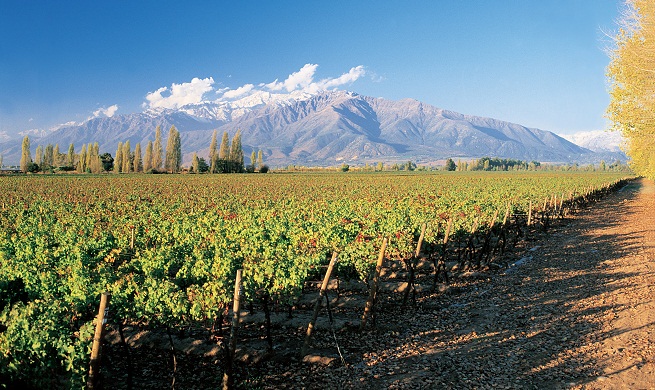Wine tourism-in-Chile