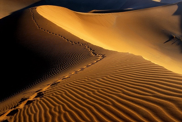 Footprints_Namib_Desert_Namibia_Africa