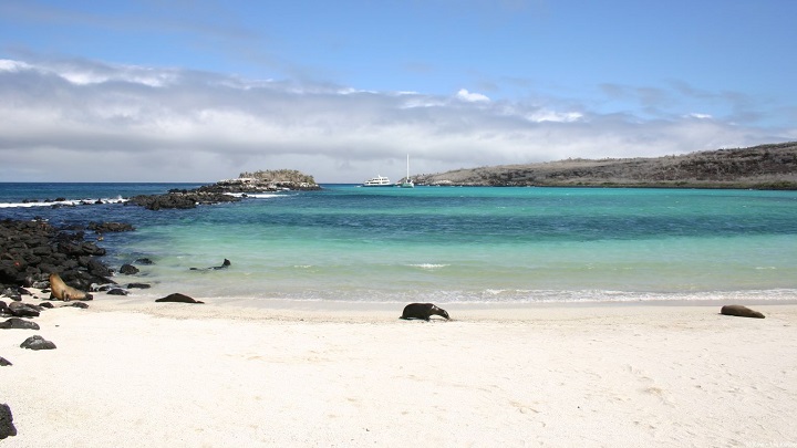 Galapagos-Beach-at-Tortuga-Bay