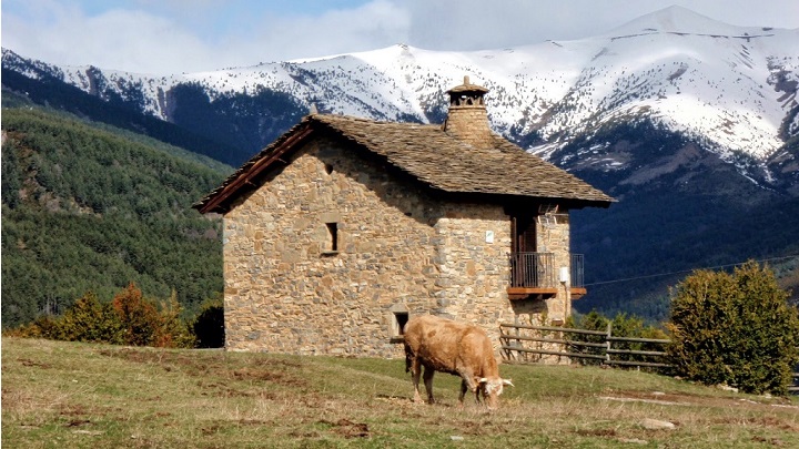 La Pardina del Senor Huesca2
