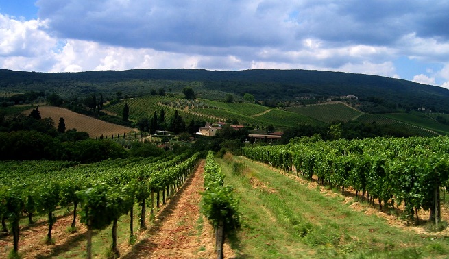 The-wine-route-in-Campania-1