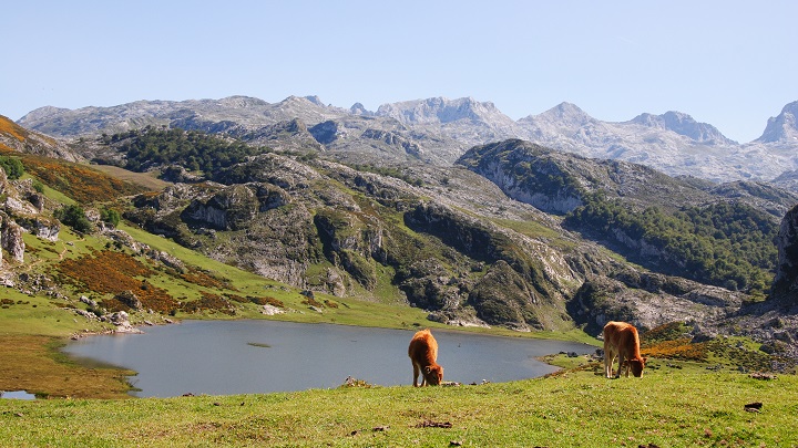 Lakes of Covadonga1