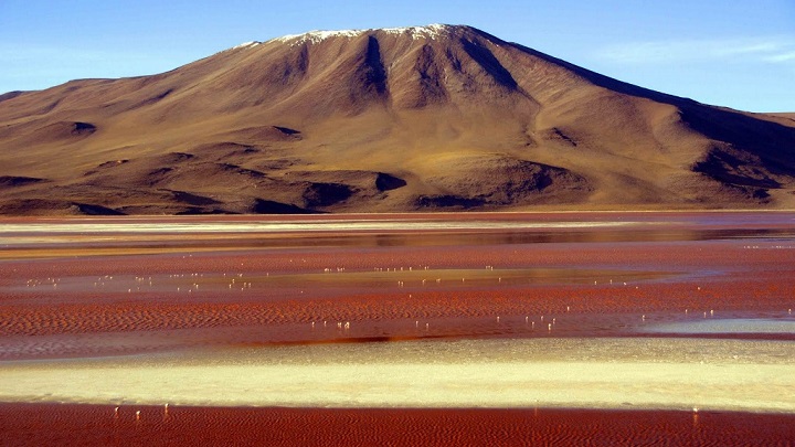 Laguna Colorada Bolivia1