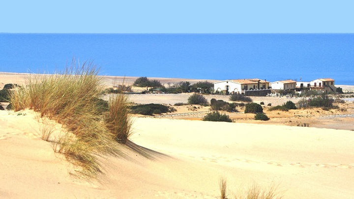 Le-dune