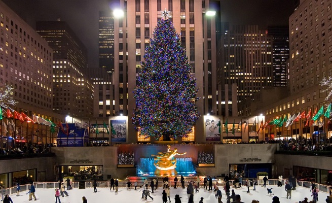 The-best-Christmas-trees-in-the-world