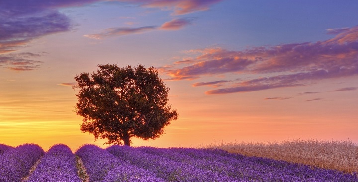 Beautiful places to visit Provence and Côte d'Azur