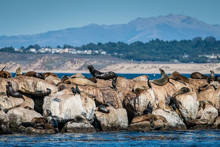 Monterey-USA