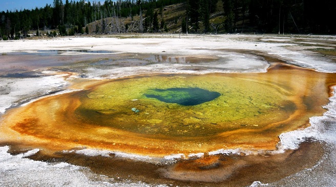 Morning-Glory-Pool-a-magical-corner-in-Yellowstone-National-Park1
