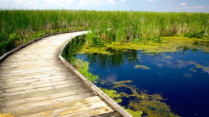 Point-Pelee-National-Park
