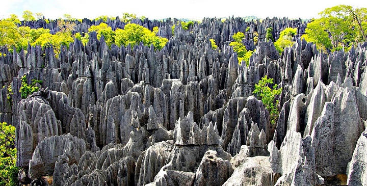 Tsingy Madagascar National Park1