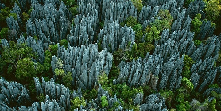 Tsingy Madagascar National Park3