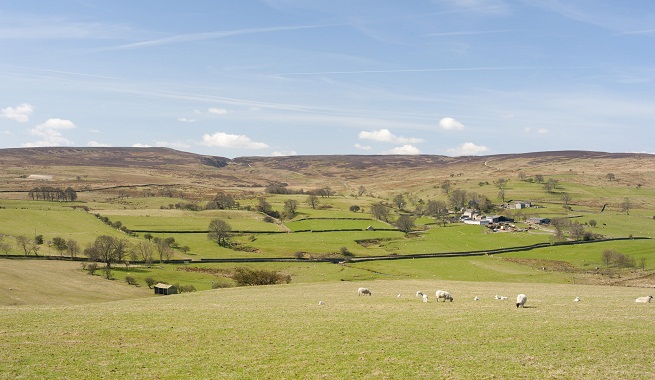 Yorkshire-Dales-National-Park-in-England-1