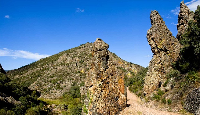 Cabañeros-National-Park-in-Castilla-La-Mancha