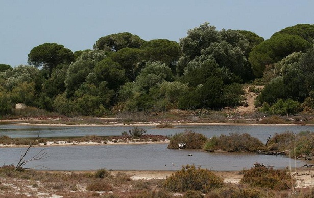 Natural-Park-Bahía-de-Cádiz