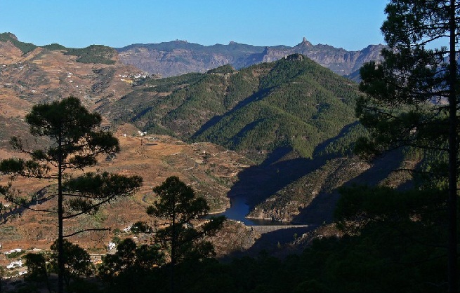 Tamadaba-Natural-Park-in-Gran-Canaria