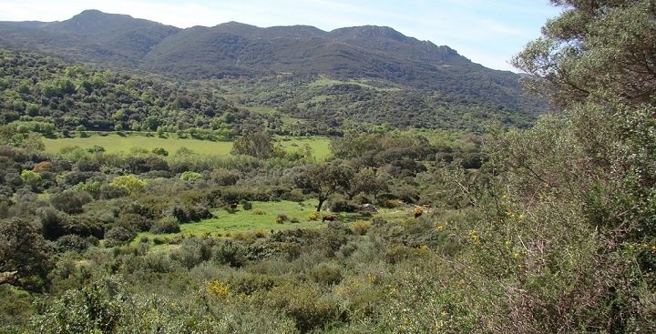 Los Alcornocales Natural Park Cadiz4