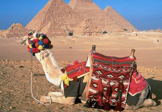 Camel-ride-through-the-pyramids-of-Egypt