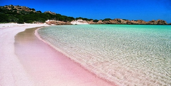 Pink beach