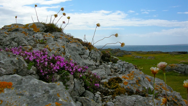 The Burren Ireland2