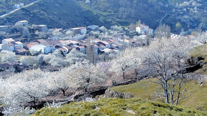 Jerte Valley Extremadura3