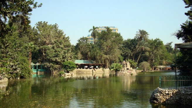 Visit-the-Zoo-of-Giza-in-Egypt-1