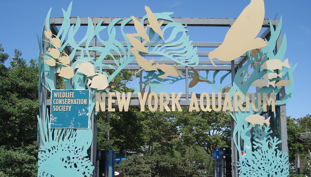 aquarium-of-new-york