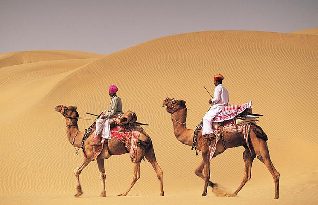 indian camel safari