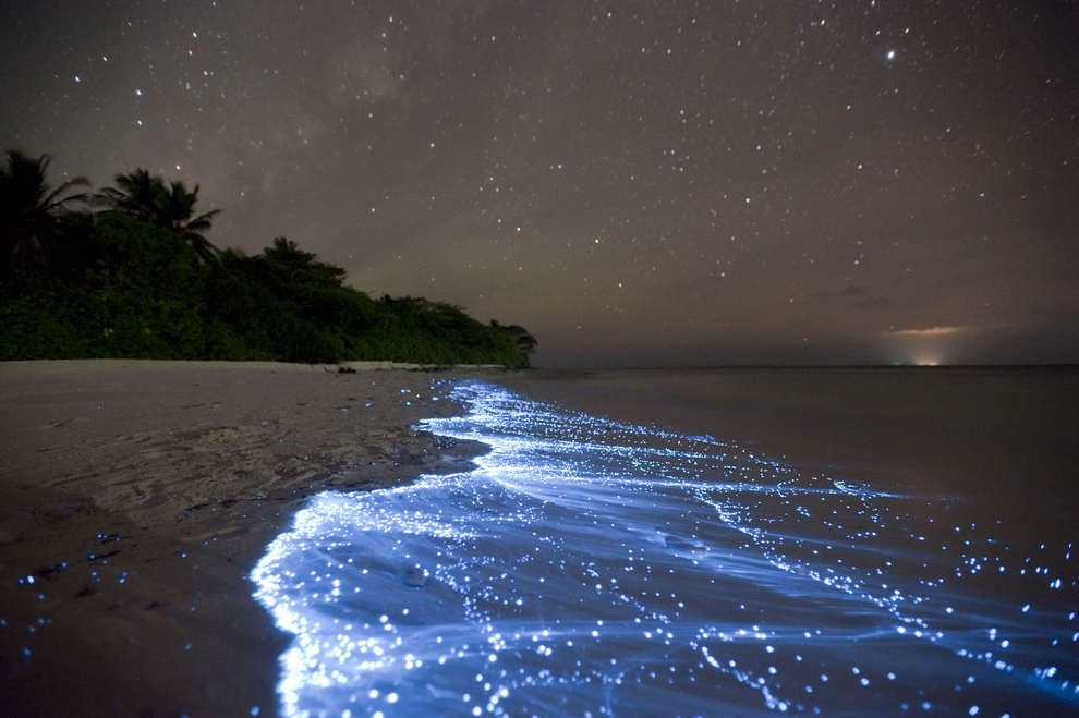 sea ​​of ​​stars island Vaadhoo Maldives