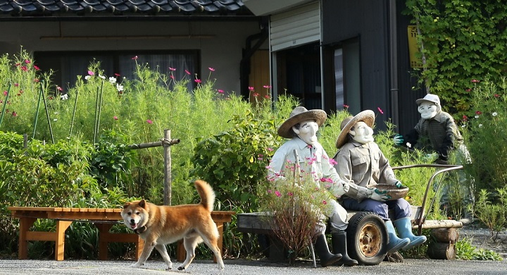 town with scarecrows