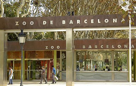 zoo-barcelona-144